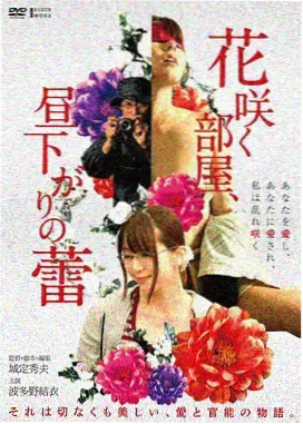 热门动漫 剧场版票房破纪录
